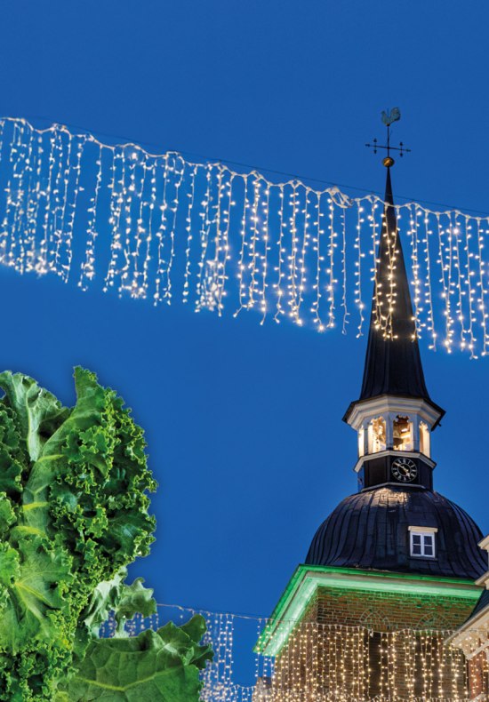 Gröönkohl-Tied am Lappan Grünkohl vor dem Lappan und Weihnachtsbeleuchtung in Oldenburg