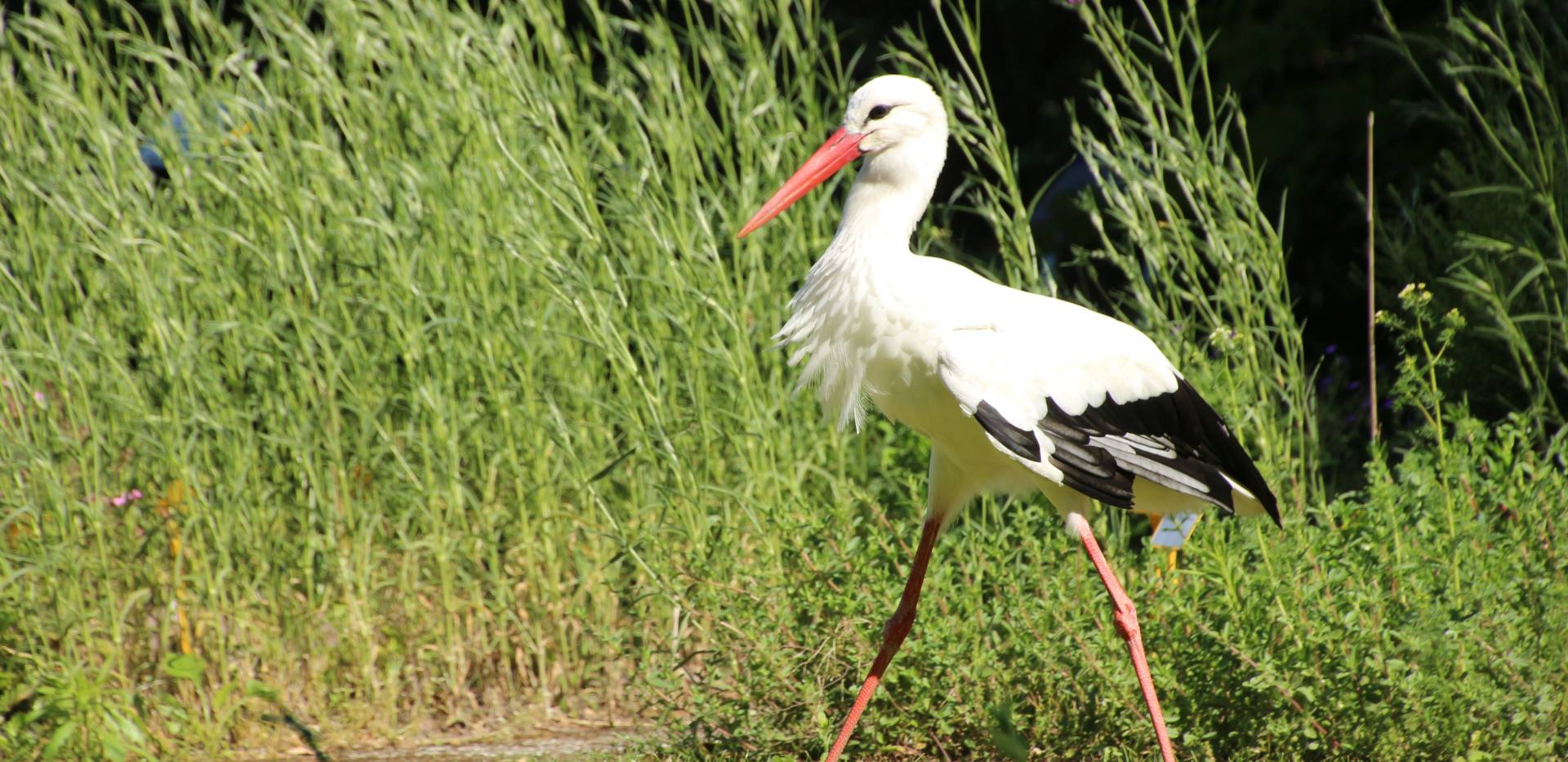 Botanischer Garten Oldenburg Botanischer Garten Oldenburg
